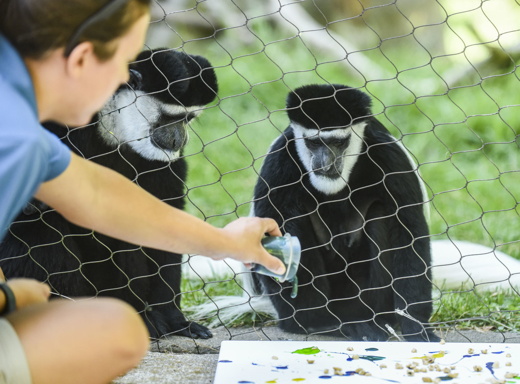 080919-mda-nws-monkey-04.jpg